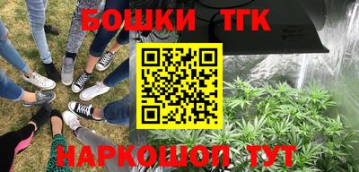 стаф Тверь