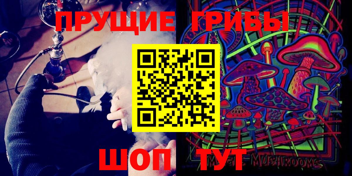 Галлюциногенные грибы прущие грибы Сегежа